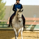 Barockes Reiten mit Richard Hinrichs
