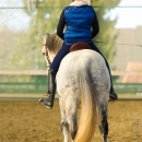 Barockes Reiten mit Richard Hinrichs