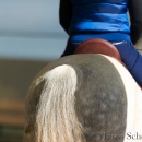 Barockes Reiten mit Richard Hinrichs