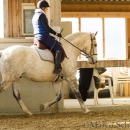 Barockes Reiten mit Richard Hinrichs