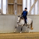 Barockes Reiten mit Richard Hinrichs