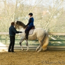 Barockes Reiten mit Richard Hinrichs
