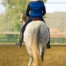 Barockes Reiten mit Richard Hinrichs