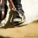 Barockes Reiten mit Richard Hinrichs