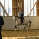 Barockes Reiten mit Richard Hinrichs