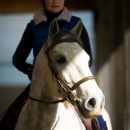 Barockes Reiten mit Richard Hinrichs