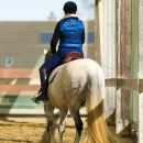 Barockes Reiten mit Richard Hinrichs