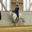 Barockes Reiten mit Richard Hinrichs