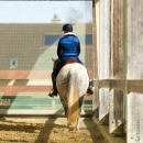 Barockes Reiten mit Richard Hinrichs