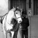 Barockes Reiten mit Richard Hinrichs