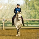 Barockes Reiten mit Richard Hinrichs