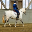 Barockes Reiten mit Richard Hinrichs
