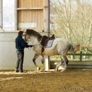 Barockes Reiten mit Richard Hinrichs