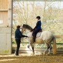 Barockes Reiten mit Richard Hinrichs