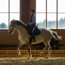 Desmond O'Brien Reitkurs - April 2015