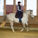 Desmond O'Brien Reitkurs - April 2015