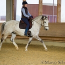 Desmond O'Brien Reitkurs - April 2015