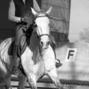 Desmond O'Brien Reitkurs - April 2015