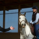 Desmond O'Brien Reitkurs - April 2015