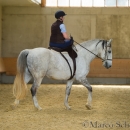 Desmond O'Brien Reitkurs - April 2015
