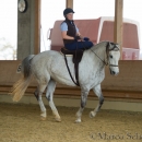 Desmond O'Brien Reitkurs - April 2015