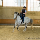 Desmond O'Brien Reitkurs - April 2015