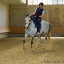 Desmond O'Brien Reitkurs - April 2015
