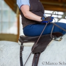 Desmond O'Brien Reitkurs - April 2015