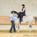 Desmond O'Brien Reitkurs - April 2015