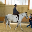 Desmond O'Brien Reitkurs - April 2015