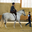 Desmond O'Brien Reitkurs - April 2015