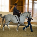 Desmond O'Brien Reitkurs - April 2015