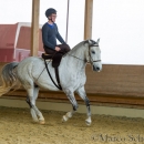 Desmond O'Brien Reitkurs - April 2015