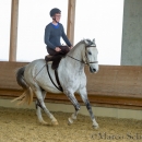 Desmond O'Brien Reitkurs - April 2015