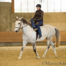 Desmond O'Brien Reitkurs - April 2015