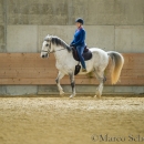 Desmond O'Brien Reitkurs - April 2015