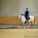 Desmond O'Brien Reitkurs - April 2015
