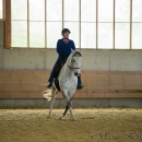 Desmond O'Brien Reitkurs - April 2015