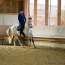 Desmond O'Brien Reitkurs - April 2015