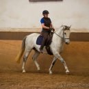 Reitunterricht bei Ruth Giffels