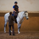 Reitunterricht bei Ruth Giffels