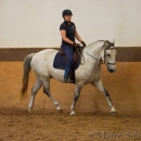 Reitunterricht bei Ruth Giffels