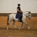 Reitunterricht bei Ruth Giffels