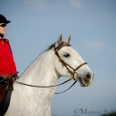 Maestoso Alea - Mai 2015