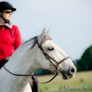 Maestoso Alea - Mai 2015