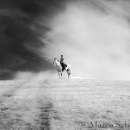 Maestoso Alea - Mai 2015
