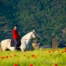Maestoso Alea - Mai 2015