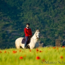 Maestoso Alea - Mai 2015
