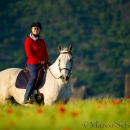 Maestoso Alea - Mai 2015