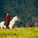 Maestoso Alea - Mai 2015